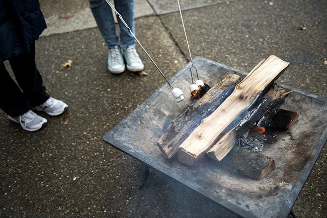 roasting s'mores